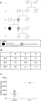 Case Report: Optic Atrophy and Nephropathy With m.13513G>A/MT-ND5 mtDNA Pathogenic Variant